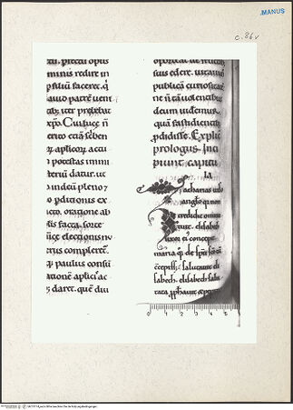 Vorderseite von bh215174_recto