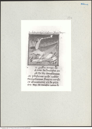 Vorderseite von bh215188_recto