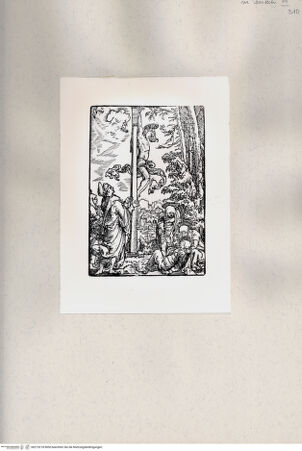 Vorderseite von  [http://creativecommons.org/publicdomain/mark/1.0/] ... - , bh215218. Foto.