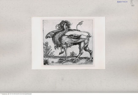 Vorderseite von bh215232