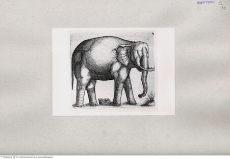 Vorderseite von  [http://creativecommons.org/publicdomain/mark/1.0/] ... - , bh215233. Foto.