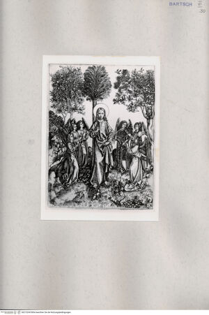 Vorderseite von bh215240