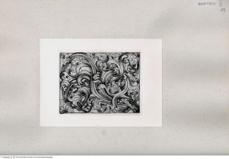 Vorderseite von bh215244