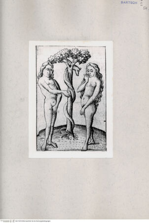 Vorderseite von  [http://creativecommons.org/publicdomain/mark/1.0/] Adam und Eva - , bh215253. Foto.