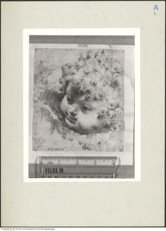 Vorderseite von  [http://creativecommons.org/publicdomain/mark/1.0/] ... - , bh215301_recto. Foto.