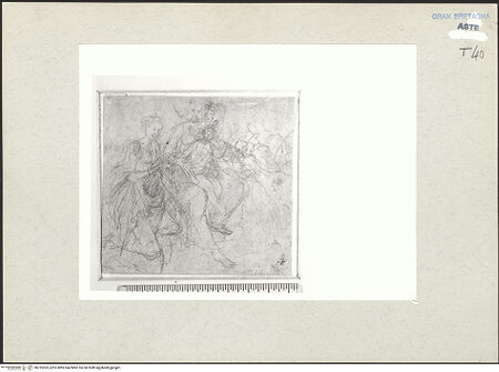 Vorderseite von  [http://creativecommons.org/publicdomain/mark/1.0/] ... - , bh215303_recto. Foto.