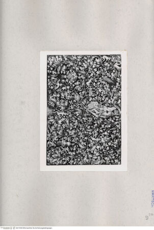 Vorderseite von  [http://creativecommons.org/publicdomain/mark/1.0/] ... - , bh215306. Foto.