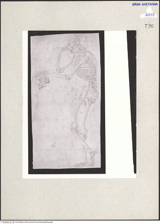 Vorderseite von  [http://creativecommons.org/publicdomain/mark/1.0/] ... - , bh215309_recto. Foto.