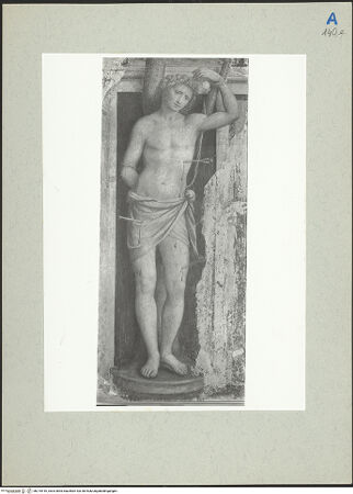 Vorderseite von  [http://creativecommons.org/publicdomain/mark/1.0/] ... - , bh215416_recto. Foto.