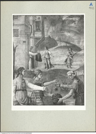 Vorderseite von  [http://creativecommons.org/publicdomain/mark/1.0/] ... - , bh215419_recto. Foto.