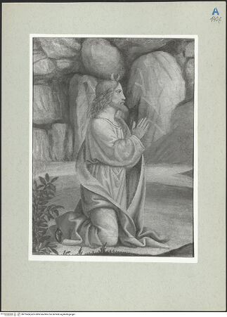 Vorderseite von  [http://creativecommons.org/publicdomain/mark/1.0/] ... - , bh215424_recto. Foto.