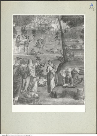 Vorderseite von  [http://creativecommons.org/publicdomain/mark/1.0/] ... - , bh215428_recto. Foto.