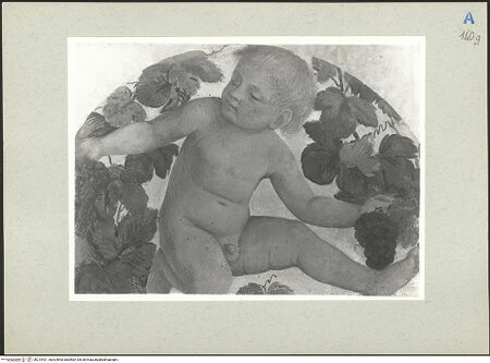 Vorderseite von  [http://creativecommons.org/publicdomain/mark/1.0/] ... - , bh215431_recto. Foto.