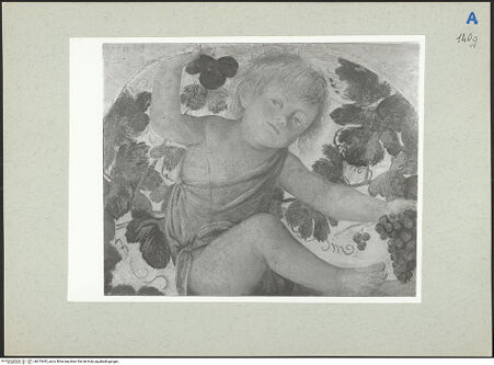 Vorderseite von  [http://creativecommons.org/publicdomain/mark/1.0/] ... - , bh215432_recto. Foto.