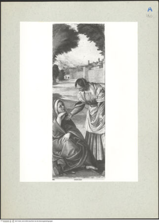 Vorderseite von  [http://creativecommons.org/publicdomain/mark/1.0/] ... - , bh215442_recto. Foto.