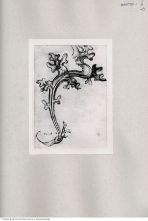 Vorderseite von  [http://creativecommons.org/publicdomain/mark/1.0/] ... - , bh215467. Foto.