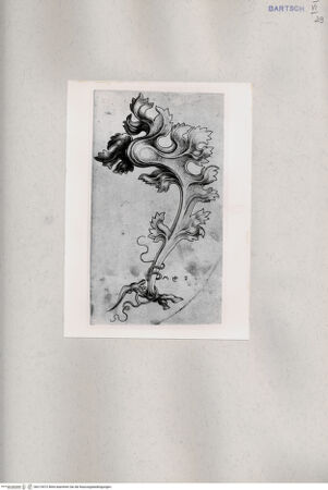 Vorderseite von  [http://creativecommons.org/publicdomain/mark/1.0/] ... - , bh215472. Foto.