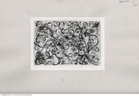 Vorderseite von  [http://creativecommons.org/publicdomain/mark/1.0/] ... - , bh215475. Foto.