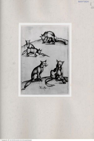 Vorderseite von  [http://creativecommons.org/publicdomain/mark/1.0/] ... - , bh215546. Foto.