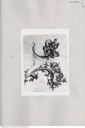 Vorderseite von  [http://creativecommons.org/publicdomain/mark/1.0/] ... - , bh215552. Foto.