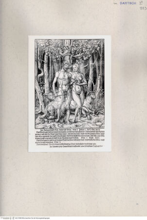 Vorderseite von  [http://creativecommons.org/publicdomain/mark/1.0/] Adam und Eva - , bh215588. Foto.