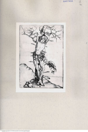 Vorderseite von  [http://creativecommons.org/publicdomain/mark/1.0/] ... - , bh215750. Foto.