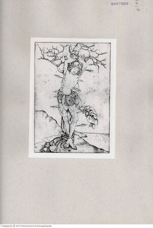 Vorderseite von  [http://creativecommons.org/publicdomain/mark/1.0/] ... - , bh215774. Foto.