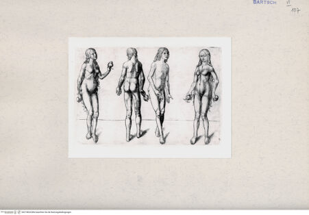 Vorderseite von  [http://creativecommons.org/publicdomain/mark/1.0/] Adam und Eva (Studien) - , bh215834. Foto.