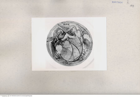 Vorderseite von  [http://creativecommons.org/publicdomain/mark/1.0/] ... - , bh215884. Foto.