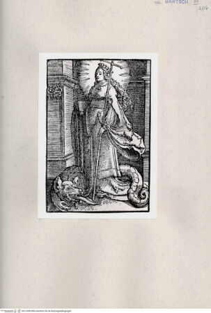 Vorderseite von  [http://creativecommons.org/publicdomain/mark/1.0/] ... - , bh215980. Foto.