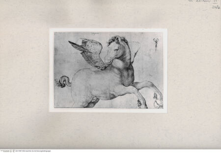 Vorderseite von  [http://creativecommons.org/publicdomain/mark/1.0/] ... - , bh215987. Foto.