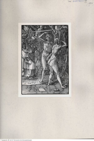 Vorderseite von  [http://creativecommons.org/publicdomain/mark/1.0/] Adam und Eva - , bh216377. Foto.