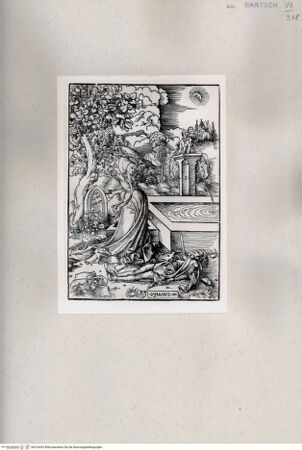 Vorderseite von  [http://creativecommons.org/publicdomain/mark/1.0/] ... - , bh216542. Foto.