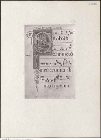 Vorderseite von bh217199_recto