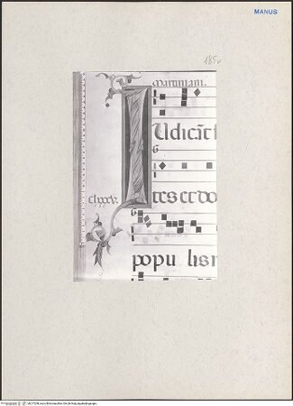 Vorderseite von bh217208_recto