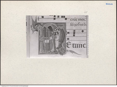 Vorderseite von bh217223_recto