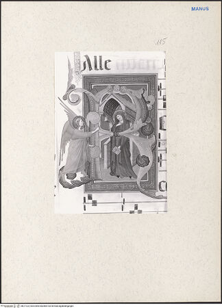 Vorderseite von bh217232_recto