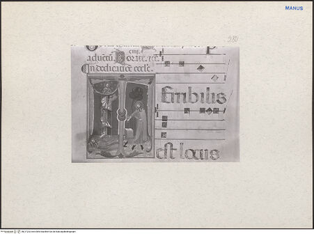 Vorderseite von bh217233_recto