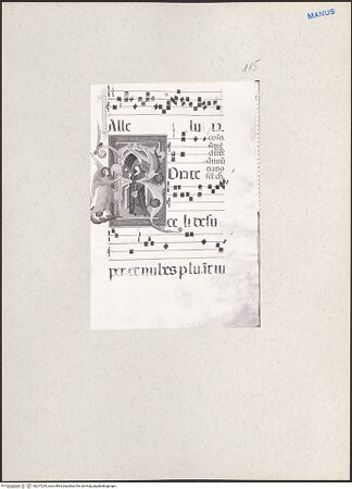 Vorderseite von bh217234_recto