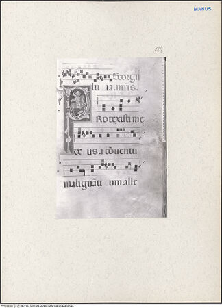 Vorderseite von bh217237_recto