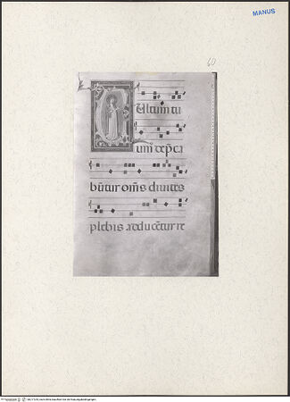 Vorderseite von bh217243_recto