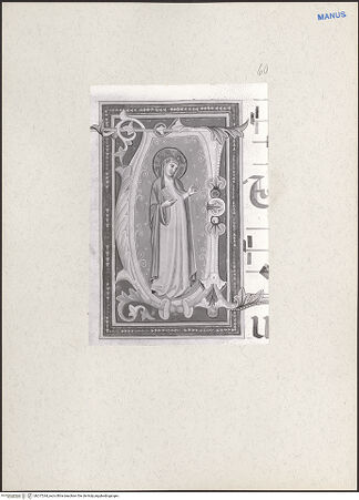 Vorderseite von bh217244_recto