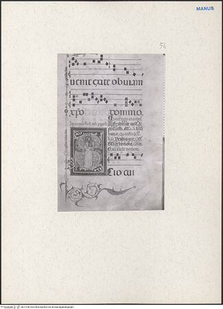 Vorderseite von bh217246_recto