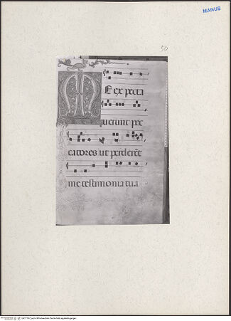 Vorderseite von bh217247_recto