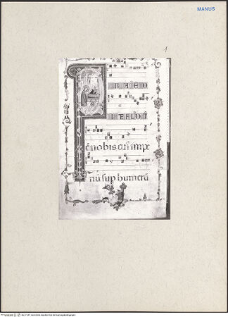 Vorderseite von bh217257_recto