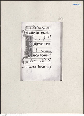 Vorderseite von bh217262_recto