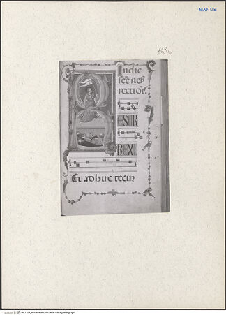 Vorderseite von bh217263_recto