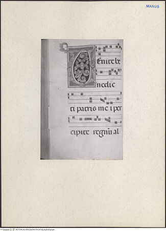 Vorderseite von bh217269_recto