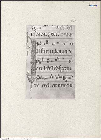 Vorderseite von bh217274_recto