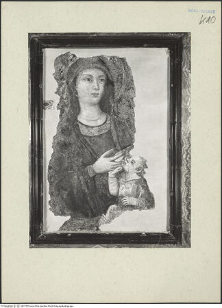 Vorderseite von bh217295_recto